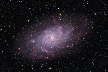 Obraz galaktyki Trójkąt (M33), który pozwala spojrzeć na dysk galaktyczny “z góry”. Różowe obłoki to obszary, w których powstały nowe gwiazdy. Źródło: Thomas V. Davis