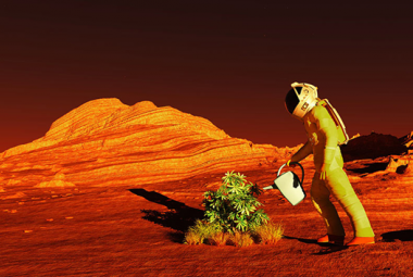 Uprawy na Marsie? SergeyDV via Shutterstock