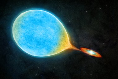 Na ilustracji wizja artystyczna nowego typu gwiazd podwójnych, w którym większy, niebieskawy towarzysz jest na przejściowym etapie przed-ekstremalnie małomasywnego białego karła. Niebieska gwiazda traci materię, której większość poprzez dysk jest akreowana na „normalnego” białego karła. Większa gwiazda stopniowo staje się ekstremalnie małomasywnym białym karłem. Źródło: M.Weiss/Center for Astrophysics | Harvard & Smithsonian