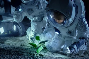 Wizja artystyczna rośliny rosnącej na Księżycu