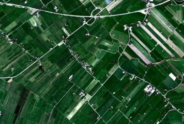AgroTech – dane satelitarne dla rolnictwa