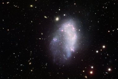 Galaktyka karłowata NGC 1427A.