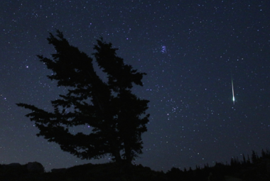 Jasny meteor z roju Leonidów na tle Plejad i gwiazdozbioru Byka. Źródło: Sky & Telescope.