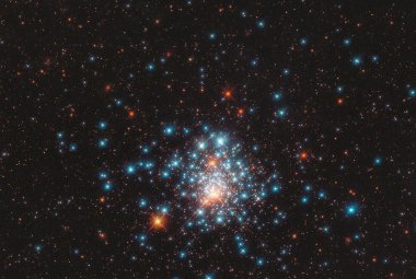 Obraz pobliskich gwiazd, choć nie połączonych ze sobą jak TIC 114936199.