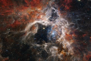 Na ilustracji widać obraz Mgławicy Tarantula w bliskiej podczerwieni uzyskany za pomocą kamery NIRCam i Teleskopu Webba. Przekątna zdjęcia odpowiada na niebie 7,24’ (~360 l.św. z odległości 170 tysięcy l.św.). Jest to obszar powstawania młodych gwiazd, z których dziesiątki tysięcy jeszcze nie odkryto, bo były schowane w obłokach pyłu międzygwiazdowego. Najbardziej aktywny obszar to gromada młodych gwiazd masywnych, które skrzą się na niebiesko w centrum zdjęcia. Źródło: NASA, ESA, CSA, STScI, Webb ERO Prod
