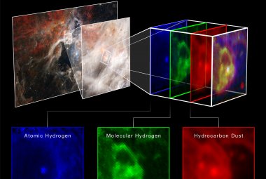 Na ilustracji pokazano fragment Mgławicy Tarantula z protogwiazdą w polu widzenia 3x3”, który zaobserwował w bliskiej podczerwieni spektrograf NIRSpec we współpracy z Kosmicznym Teleskopem Jamesa Webba. Zaprezentowano rozkład przestrzenny atomowego wodoru (kolor niebieski, λ=1,87μm), molekularnego wodoru (kolor zielony, λ=2,12μm) i pyłu węglowodorowego (kolor czerwony, λ=3,3μm). Widać, że protogwiazda właśnie jest na początku procesu wydostawania się ze swojego kokonu pyłowego. Źródło: NASA, ESA, CSA, STScI