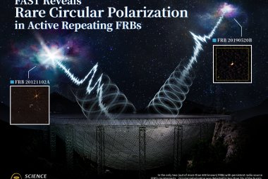 Wizja artystyczna przedstawiająca FAST wykrywający polaryzację kołową z dwóch aktywnych FRB z trwałego źródła radiowego.