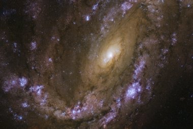 Galaktyka spiralna NGC 4051, sklasyfikowana jako galaktyka aktywna.