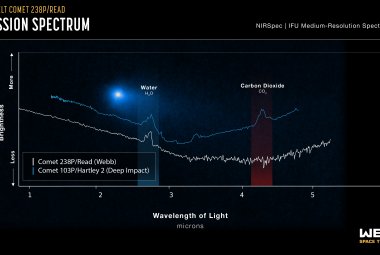 Na ilustracji porównano wygląd widma komety 238 P/Read i komety 109 P/Hartley 2. W widmach obu komet widać linie pary wodnej (H2O), ale w komecie Reada jest brak linii widmowych dwutlenku węgla (CO2). Widmo komety Reada zostało wykonane przez Kosmiczny Teleskop Jamesa Webba w 2022 roku, a komety Hartley 2 – przez misję satelitarną Deep Impact w 2010 roku. Źródło: NASA/ESA/CSA: Joseph Olmsted (STScI)