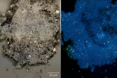Powiększenie małego ziarna z próbki. Małe jasne plamki na obrazie po prawej stronie (w świetle UV) ujawniają obecność związków organicznych. Źródło: NASA