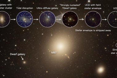 Kontinuum galaktyk uchwyconych na różnych etapach procesu transformacji z galaktyki karłowatej w ultrazwartą galaktykę karłowatą (UCD).
