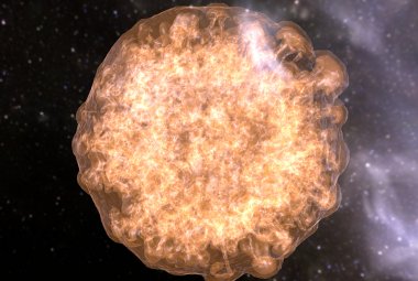 SN 1006