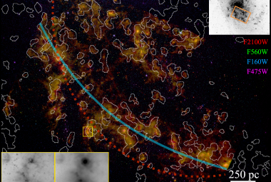Wielobarwny obraz fragmentu ramienia spiralnego Galaktyki Trójkąta (M33) uzyskany różnymi instrumentami (MIRI z Teleskopem Webba, Teleskop Hubble’a), gdzie znajduje się ponad 800 kandydatów na młode obiekty gwiazdowe. Źródło: arXiv:2312.09188 [astro-ph.GA]