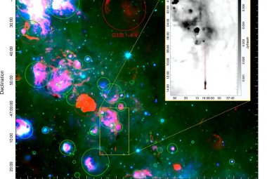 Na zdjęciu: Złożony obraz obszaru płaszczyzny Galaktyki i Potoroo, z czerwoną warstwą przedstawiającą obraz radiowy ASKAP na częstotliwości 1368 MHz oraz zieloną i niebieską warstwą przedstawiającymi dane WISE w podczerwieni odpowiednio na 12 µm i 22 µm. Znane galaktyczne SNR zaznaczono czerwonymi okręgami (Green, 2019, 2022), a znane galaktyczne regiony HII zielonymi okręgami (Anderson i in., 2014). Ramka wyróżnia interesującą nas sekcję. Wstawka to powiększony obraz ASKAP przedstawiający Potoroo, na który