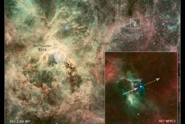 Na ilustracji: Zdjęcie Mgławicy Tarantula (30 Doradus) wykonane przez 2,2m teleskop MGP/ESO w La Silla (Chile). We dodatkowym panelu umieszczono zdjęcie z Teleskopu Hubble’a, na którym widać gwiazdę wyrzuconą z gromady gwiazdowej R136 (ang. „runaway” star). Jest to gwiazda młoda (wiek 1-2 mln lat) i masywna (~90Mʘ), która oddala się od R136 z prędkością ~110 km/sek i obecnie znajduje się w odległości 375 l.św. Źródło: NASA, ESA, J. Walsh (ST-ECF), Z. Levay (STScI), ESO, J. Alves (Calar Alto, Spain), B. Vand