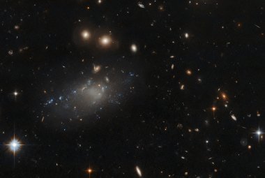 GAMA 526784, ultrarozproszona galaktyka