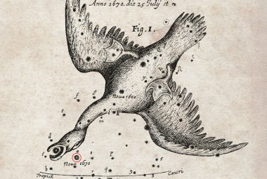 Gwiazdozbiór Łabędzia i Nova Vulpeculae 1670 (Heweliusz)