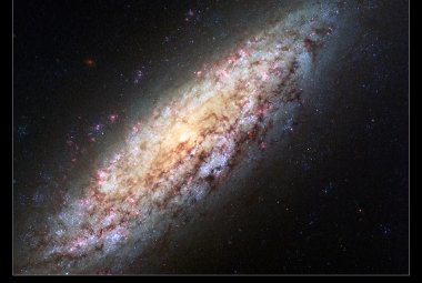 Galaktyka spiralna NGC 6503
