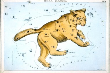 Wielka Niedźwiedzica - z zestawu kart gwiazdozbiorów Samuela Leigha