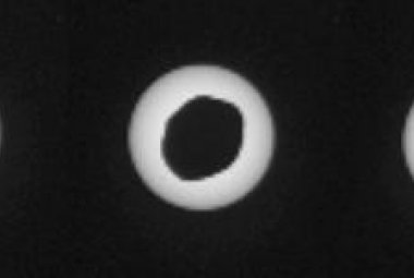 Zaćmienie Słońca przez Fobosa (zdjęcia z Curiosity)