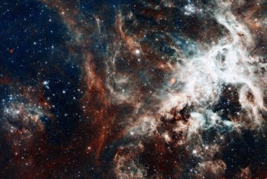 Astronomowie obserwowali blisko 1000 masywnych gwiazd w 30 Doradus, znanej także jako mgławica Tarantula. Źródło: Shutterstock
