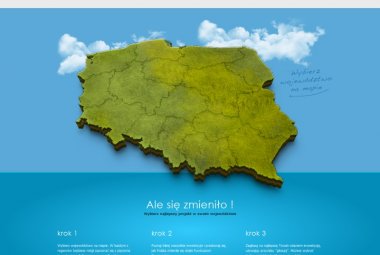 Strona plebiscytu TVP z okazji 10-lecia Polski w Unii Europejskiej